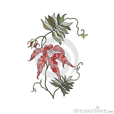 Decorative tropical flowers. Vector illustration. Vector Illustration